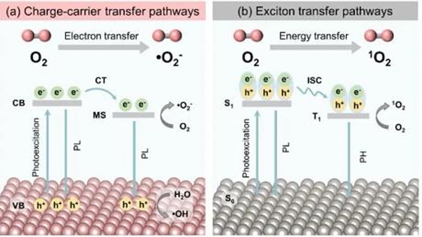 保护水体安全 同济大学研究团队提出了一种全新的有机污染物降解策略
