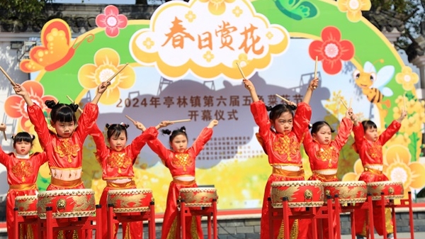 打卡金山油车村！赏五色菜花、逛特色集市、画亲子童画