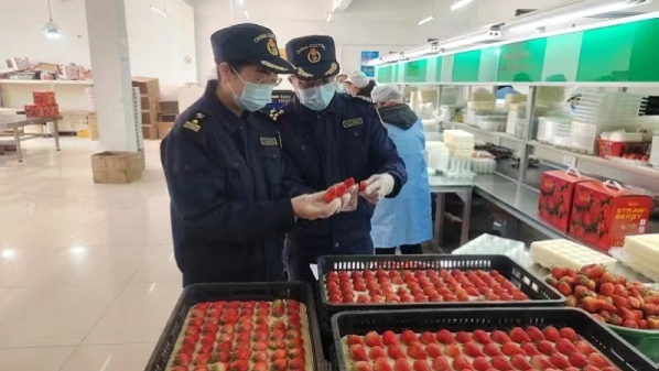 继南汇水蜜桃、奉贤黄桃、青浦草莓、崇明无花果之后，本市青浦“白鹤草莓”首次出口
