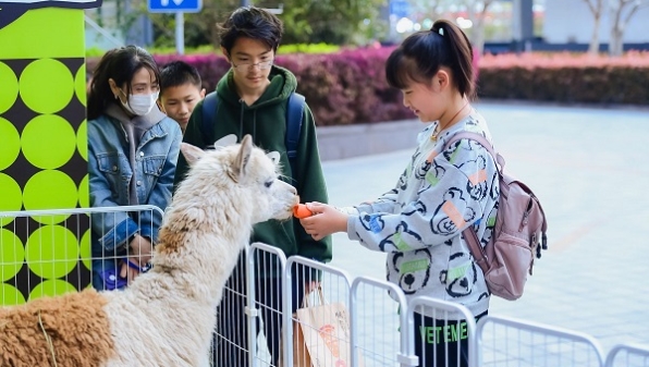 聚焦“它经济”，环球萌宠营地成“城市萌宠新地标”