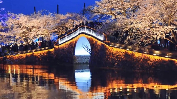 在鼋头渚，赏花漪，听春涛，迎霞晖