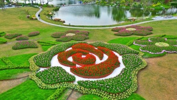 上海植物园发布“种子培育计划”