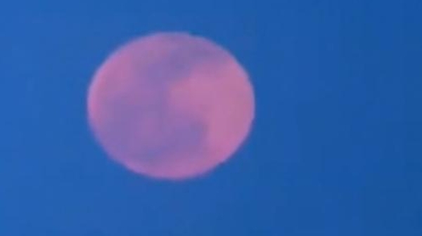深视频 | 延时摄影展示“粉色月亮”浪漫升空，何以得名？