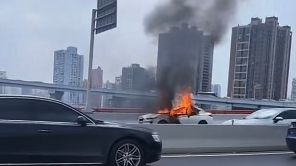 下午，南浦大桥浦西引桥一新能源车起火，现场浓烟滚滚车辆被烧成空壳