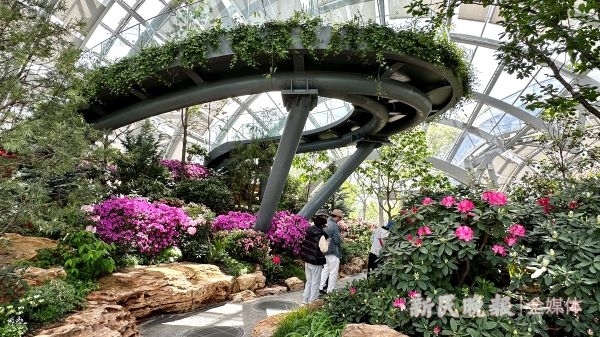 上海首个“冷温室群”在上植北区亮相，收集展示海拔1000至3000米植物