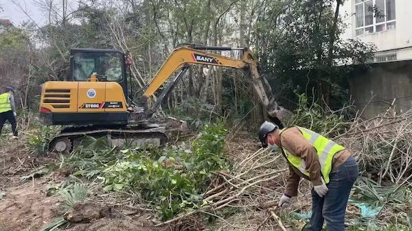 苗圃变绿廊，高境镇深入推进“五清十美”专项行动