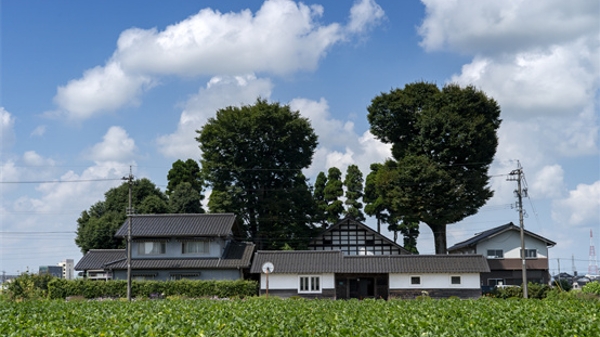 日本空置房屋创下历史新高
