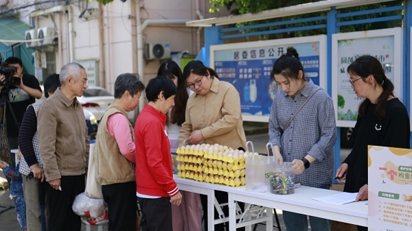 “一个鸡蛋的告白”，金山区用绿色兑换传递低碳新风尚