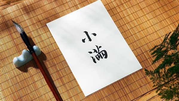王萌萌：小满·留白之妙