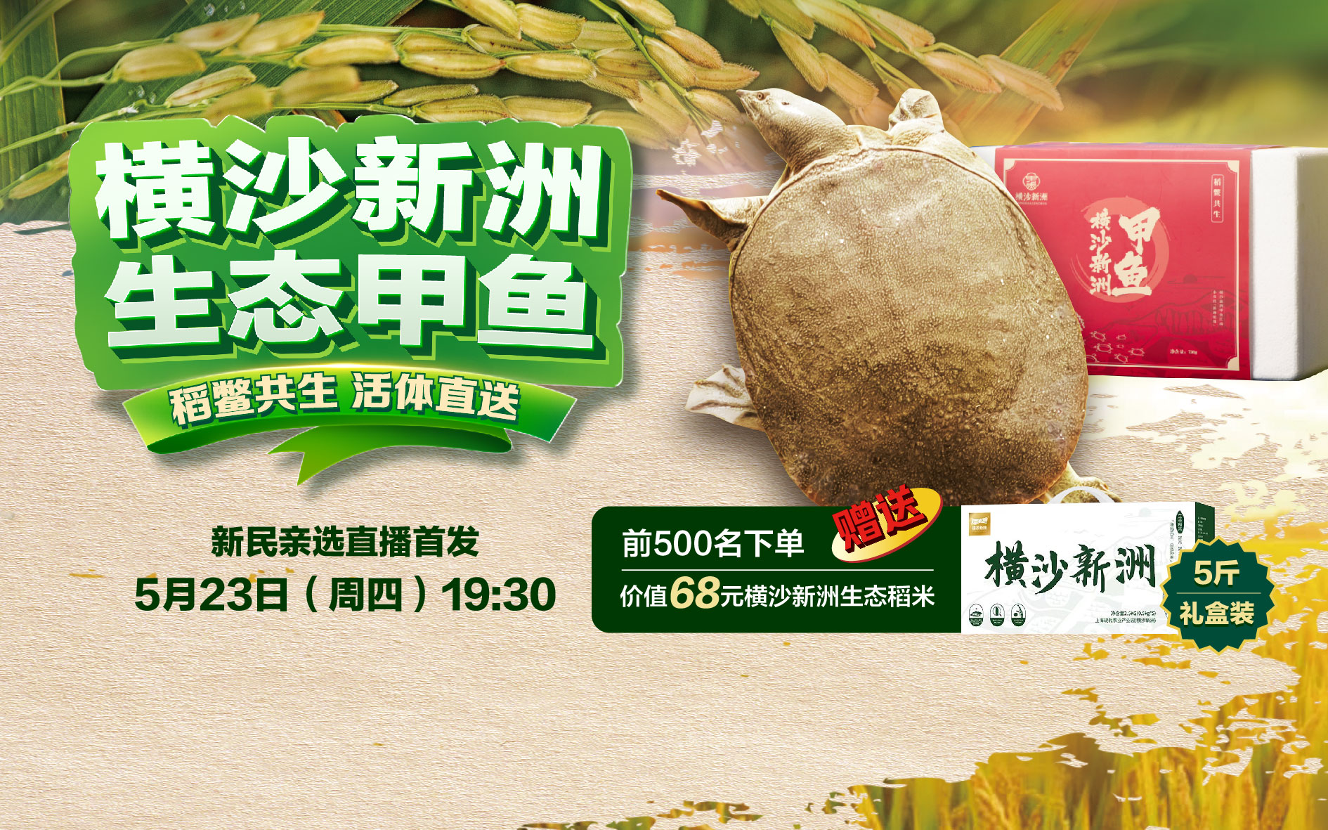 生态甲鱼开售！上海这片刚开发的“处女地”，向市民递出第一张“绿色名片”