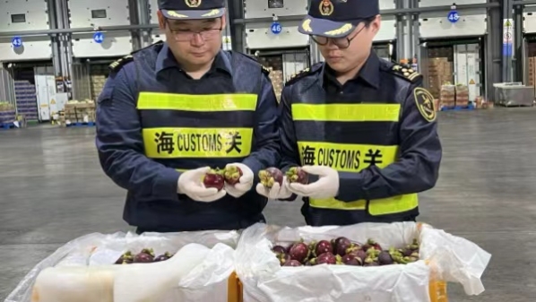 消费旺，进口忙，前4个月上海口岸干鲜瓜果及坚果进口同比增长逾两成