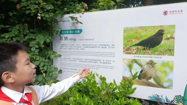 金苹果生长在“鸟的天堂”里