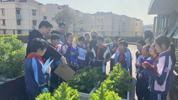 乐享自然！长宁区探索生境花园里的“儿童友好”