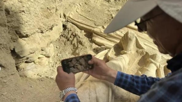 土耳其古城出土2100年前古希腊女神头像