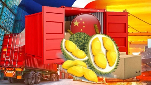 不算不知道，中国人每年吃142万吨榴莲，泰国是第一来源国