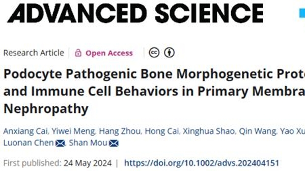 仁济医院联合中国科学院揭示原发性膜性肾病病理机制，最新研究成果在国际知名期刊发表