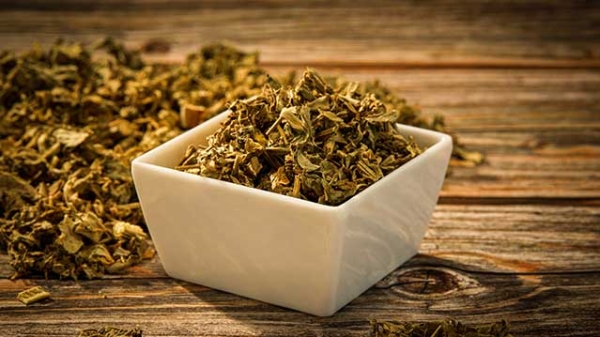 十日谈｜袁山：有钱难买端午水