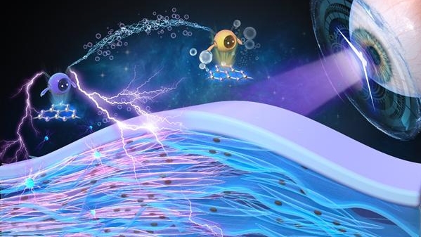 Nature子刊“氧”护光！复旦圆锥角膜交联原位供氧研究获突破