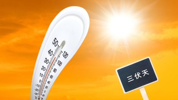高温回归 体感“由小笼变生煎”！下周入伏 今年三伏天为何是40天？