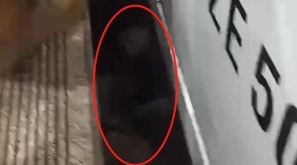 “手给我，手给我……”女乘客不慎掉入高铁站台缝隙 好心人及时伸手救出