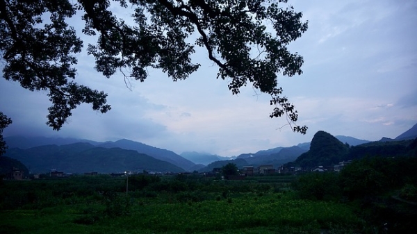 十日谈 | 杨逸：我听见了夏天的寂静