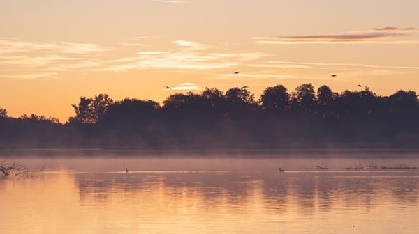 汤朔梅：那个叫二咬的