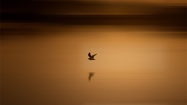 夜读 | 尤今：未雨绸缪