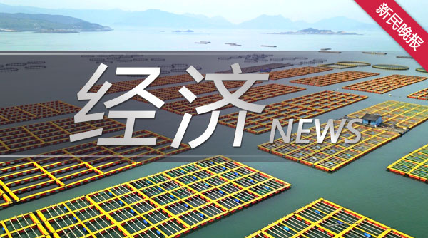 前沿AI技术助力 金融壹账通境外业务营收同比大增