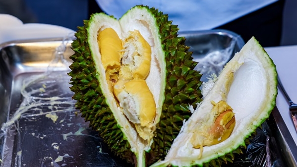 奉贤举办“榴莲丝路万里行”首发仪式