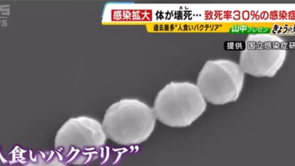 来势汹汹！食人细菌在日本蔓延超千人感染