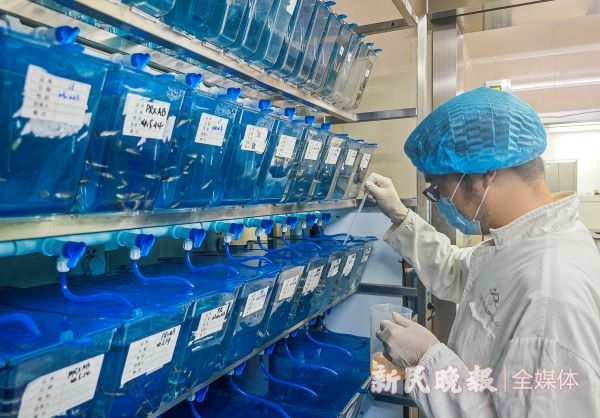 2025年中国—东盟关系雅加达论坛举行