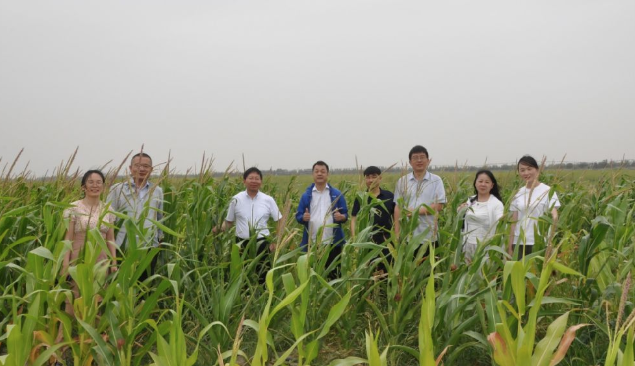 上海科技管理学院一行赴喀什调研