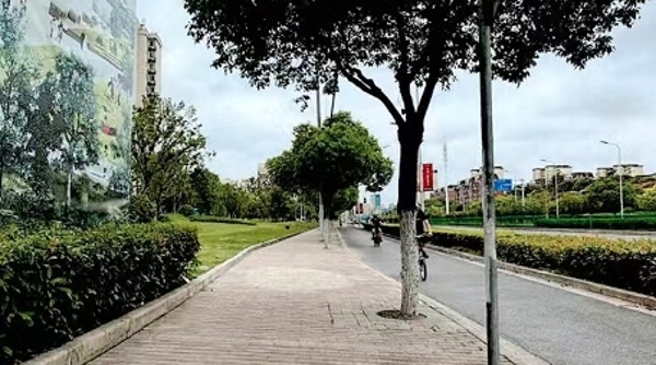 台风过境，路人骑车被刮落的广告布卷入后摔伤，谁来赔偿？