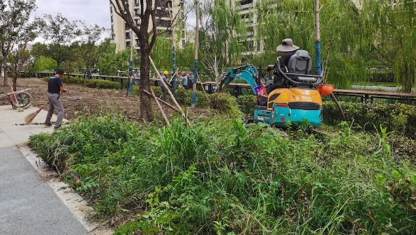 新闻追踪|家门口绿地无人管 ，相关部门将对绿化带进行综合提升改造