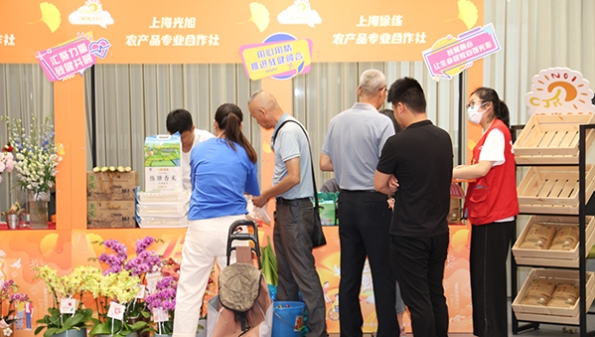 这里阳光正好，来“阳光201”迎国庆吧！