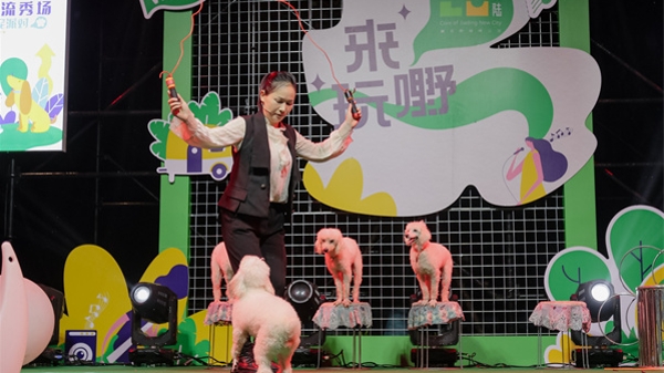 带上家里萌宠，一起来逛潮酷的“远香湖之夜”！