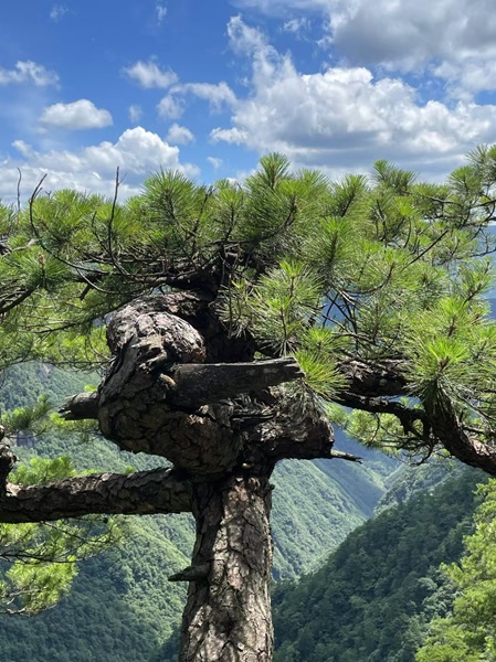 焦点