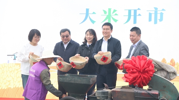 枫泾大米开市 秋粮迎来收获季