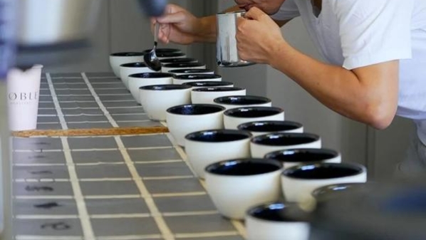 两大重磅咖啡国际赛事落沪，第七届进博会后开赛