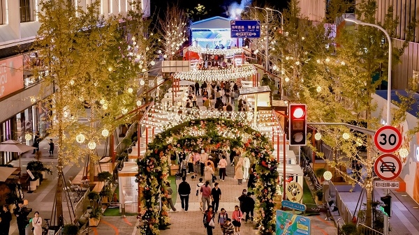 “咖啡经济”香飘前滩国际街区，在“南法花境”享受浪漫松弛