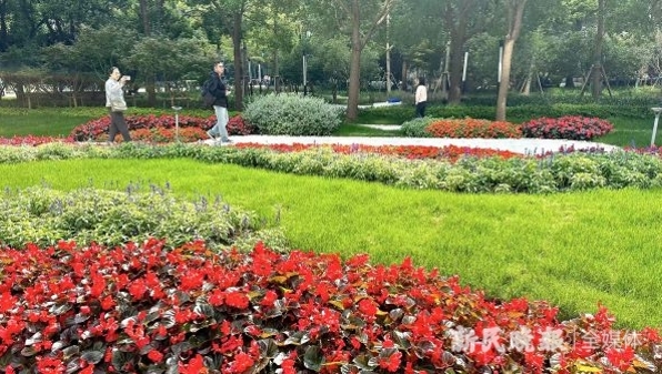 释放“绿色”空间，打造无界“花园”，上海已开放共享单位附属绿地125个