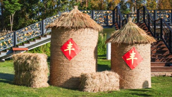 上海柑桔节暨长兴丰收日开幕 政企联动绘柑桔农旅产业新蓝图