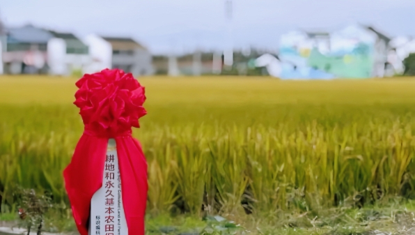 立桩设“码” ，松江耕地有了电子身份证