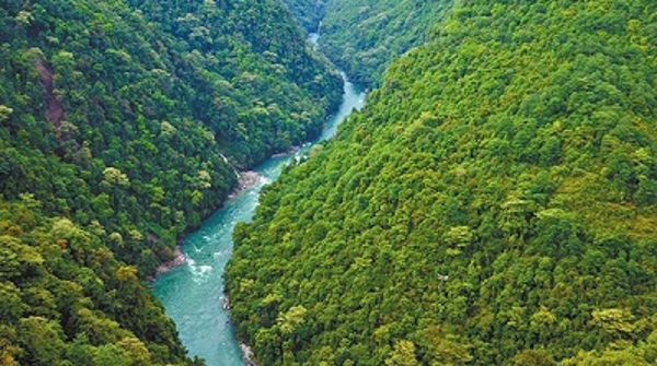 本来生活走进云南贡山开展产业帮扶，深入“三区三州”助边地变“富地”