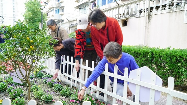 神秘花园激活老人记忆 杨浦长海街道打造老年认知障碍友好社区