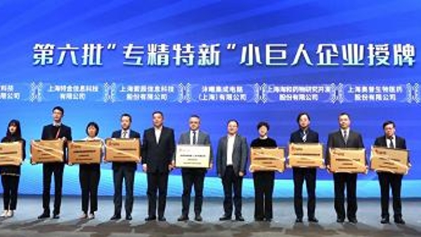 中建港航局新添国家级专精特新“小巨人”企业  ?