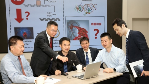 AI大数据+心血管影像探索心血管精准诊疗，这个跨学科“医学创新团队”获批国自然创新研究群体项目