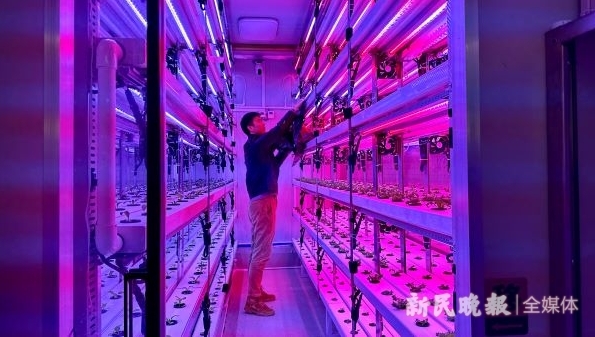 用AI在集装箱里种菜，用手机浇水施肥，这场农研科技大赛为何选址花博邨？
